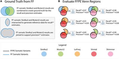 Combinatorial and Machine Learning Approaches for Improved Somatic Variant Calling From Formalin-Fixed Paraffin-Embedded Genome Sequence Data